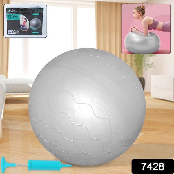 Heavy Duty Gym Ball Non-Slip Stability Ball with Foot Pump for Total Body Fitness
